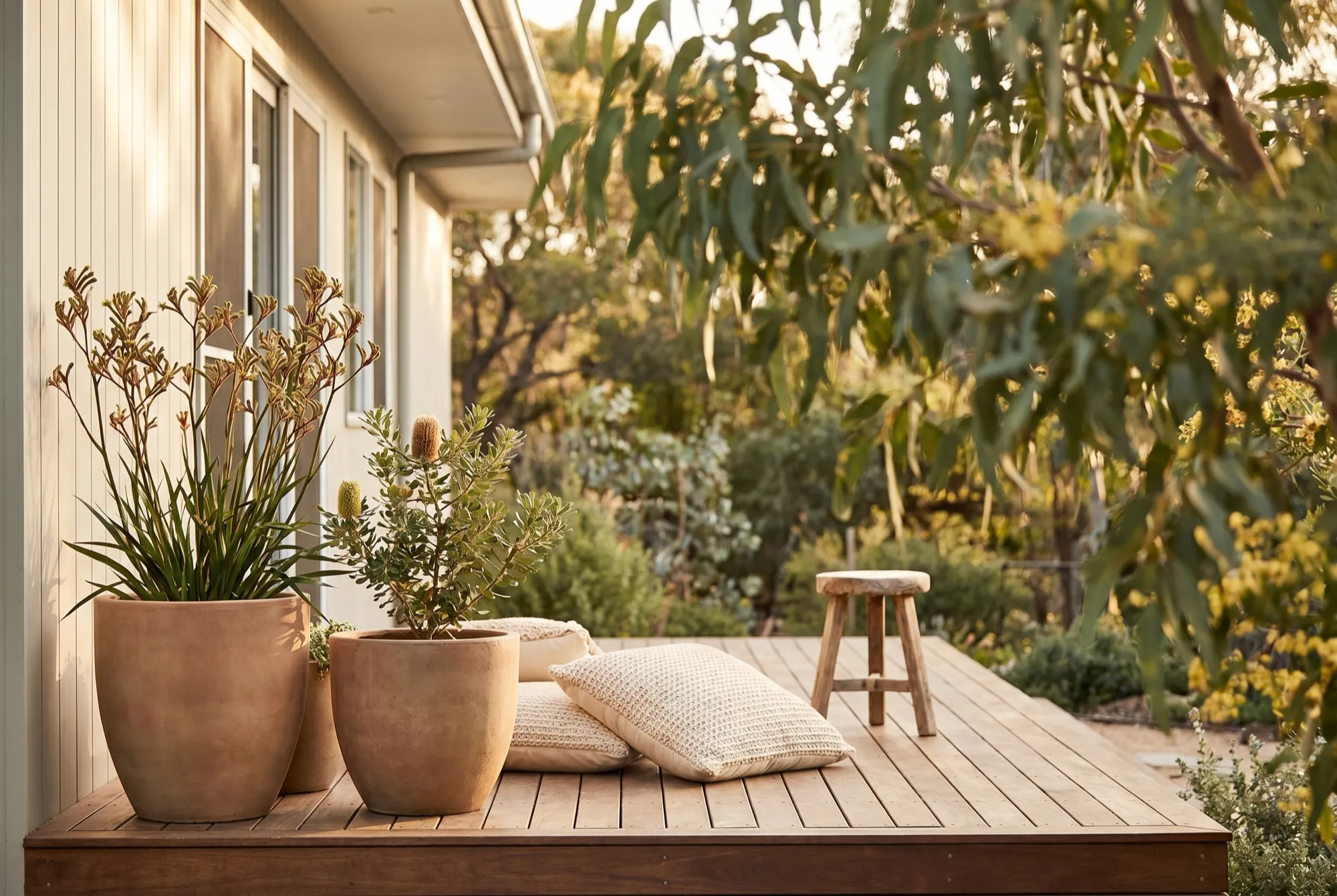A timber outdoor deck on a modern Australian home in warm light